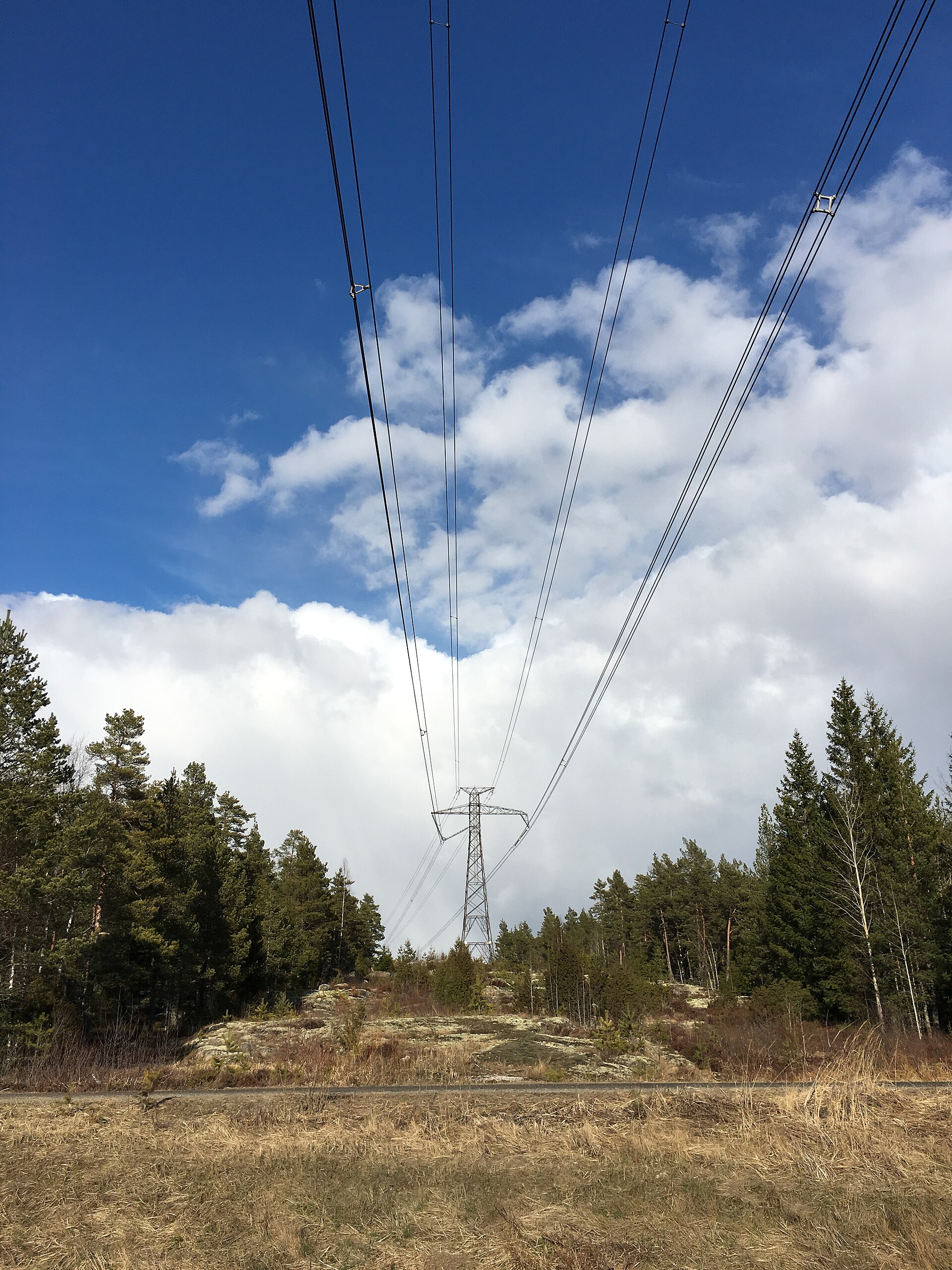 Suomalainen voimajohto metsämaisemassa